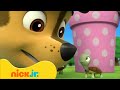 Patrulha Canina Resgatando Tartarugas!  | Nick Jr. em Português