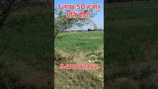 1 लाख 50 हजार प्रति बीघा में जमीन बिकाऊ है| #agriculture #rsproperty #farming #raspropertyhub #cheap