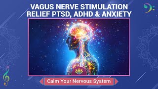 Vagus Nerve Stimulation Music - Relief PTSD, ADHD \u0026 Anxiety - Calm Nervous System