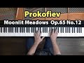 Prokofiev “Moonlit Meadows” Music for Children Op.65, No.12 - P. Barton, FEURICH grand piano