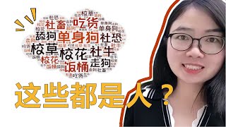 10 Chinese Internet Buzzwords Related to People: How Many Do You Know? 10大与人相关的汉语网络词，你知道几个？跟丽云说中文