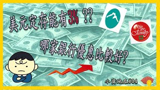 美元存款來到3%！現在銀行美元定存哪家好？[小資地瓜04]