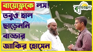 SNAKEHEAD MURREL FISH FARMING IN BIOFLOC || বায়োফ্লকে ভিয়েতনামী শোল মাছ চাষ || কৃষি বন্ধন ||