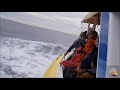 Whale jumps out of the ocean during sightseeing Tour