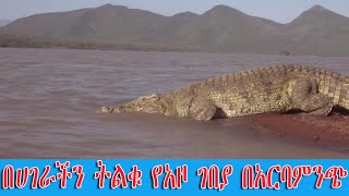 በሀገራችን ትልቁ የአዞ ገበያ በአርባምንጭ Big Crocodile ranch Arba - Minch Ethiopia