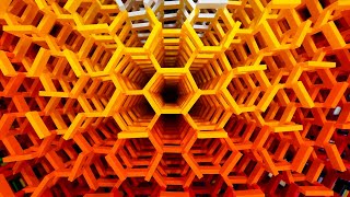 Behind the Scenes: WORLD RECORD Hexagonal Domino Structure!
