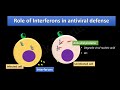 Interferons INF-α, INF-β and INF-γ (FL-Immuno07)