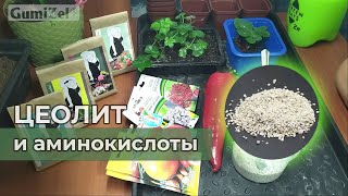 ЦЕОЛИТ И АМИНОКИСЛОТЫ. Общее применение 🌿