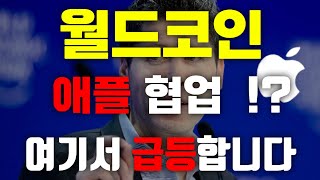 월드코인!! 애플협업 !! 여기서 급등합니다 #월드코인 #월드코인전망