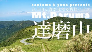 【静岡】伊豆 達磨山 富士山と海が見える爽快ハイク