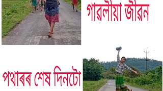 শাওনৰ পথাৰ 🌾//কিছু ধেমালী// লগতে এসাজ ভালকৈ😊