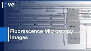 Substructure Analyzer: Rapid Exploration \u0026 Accurate Analysis-Cellular Bodies l Protocol Preview