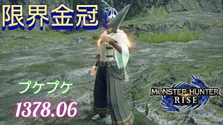 プケプケ限界最大1378.06