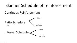 Schedule of Reinforcement-Skinner