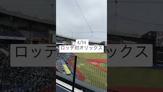 2023,4,14ロッテ対オリックス　佐々木朗希対山本由伸　生観戦