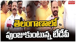 తెలంగాణాలో పుంజుకుంటున్న టీడీపీ | తెలంగాణలో టీడీపీ పుంజుకుంది మహా న్యూస్