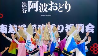 渋谷阿波おどり　南越谷阿波踊り振興会合同連　Japan Walk 4K 2024.11.2