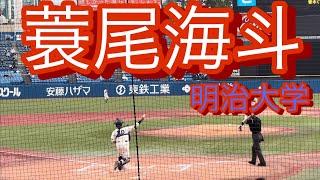 2022年ドラフト候補　明治大学　蓑尾海斗　大学4年秋　リーグ戦での打席とセカンドスロー(対慶應義塾戦)