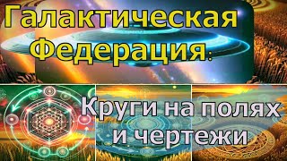 Галактическая Федерация: Круги на полях и чертежи