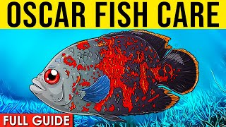 Oscar Fish Info And Care | Oscar Fish Care Guide For Beginners