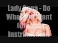 Lady Gaga - Do What You Want (instrumental official)