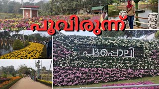 പൂവിരുന്നൊരുക്കി വയനാട് |Ambhalavayal Poopoli.....🌸 International flower show |