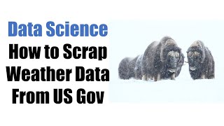 Freelancer Project | Python Weather Data Analysis | XML Scraping Matplotlib