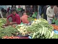 নয়াপুর হাট । নারায়ণগঞ্জ হাট । গ্রাম গঞ্জের হাট বাজার । সবজির হাট । গ্রামের হাট বাজার