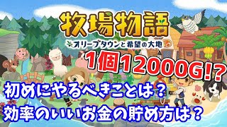 【牧場物語】体力ゲージ増加と牧場開拓  4日目 【オリーブタウンと希望の大地】