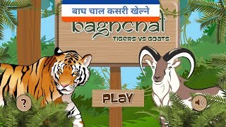 How to play bagha chaal. बाघ चाल कसरी खेल्ने ?