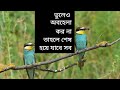 ভুলেও অবহেলা করনা জীবনে পস্তাতে হবে youtubeshorts reels islamicstatus lifestyle facebookreels