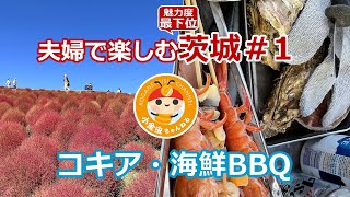 夫婦で楽しむ茨城＃１　コキア・海鮮BBQ