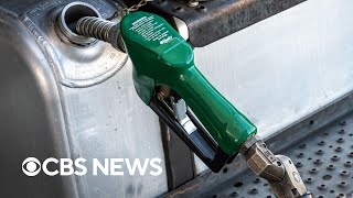 Diesel prices rise as Americans grapple with soaring costs