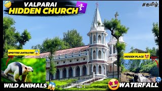 Valparai Hiddeen Church😍|Wild Animals😮 |Waterfalls🌊#explore #valparai #travel #tamil #r15v4 #nature