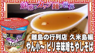 離島の行列店 久米島編 やん小～ ピリ辛味噌もやしそば【魅惑のカップ麺の世界3462杯】