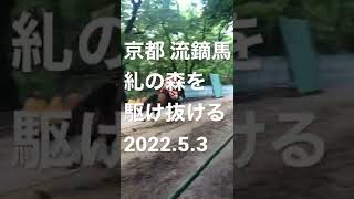 京都 流鏑馬 糺の森を駆け抜ける 2022.5.3  #shorts