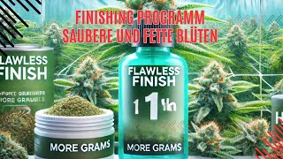 Hookah Grow – 9. Blütewoche \u0026 Finishing: Perfekte Blüten mit Flawless Finish \u0026 Budwashing! 🪴🤩