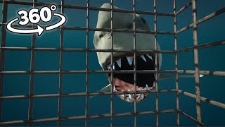 360° Shark is waiting you under the sea