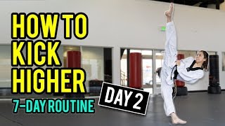 How to Kick Higher: Stretches & Drills (Day 2 Routine)