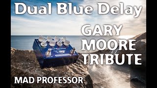 Mad Professor Dual Blue Delay demo part 2 by Marko Karhu