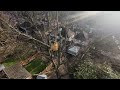 the art of tree climbing my 65ft poplar adventure