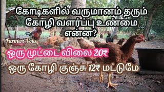 பத்து கோழி பத்து கோடி கொட்டி கொடுக்கும் கோழி வளர்ப்பு #countrychicken farming #nattukolivalarppu