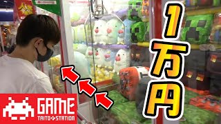 100台カニ歩きしてクレーンゲーム何台とれる？【タイトーFステーション柏中央】マルハン