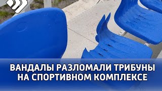 В Ухте нашли виновника переполоха в спорткомплексе «Нефтяник».