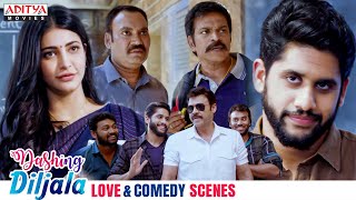 Dashing Diljala Movie Love & Comedy Scenes | Naga Chaitanya, Shruti Haasan |Anupama |AdityaMovies