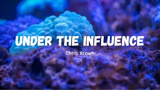Chris Brown | Under the Influence (LYRICS) | 1 Hour Loop