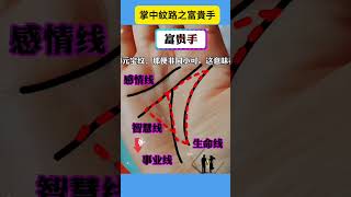 掌中的手紋，各有各的命運#手相 #运势