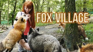 Fox Village in Zao Japan! 蔵王きつね村・kitsune mura