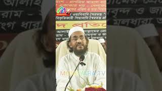 মুয়াবিয়াবাদী দের বাহাস নিয়ে গুরুত্বপূর্ণ আলোচনা - মুয়াবিয়া সাহাবী দূরের কথা মানুষই নয় -ইমাম হায়াত