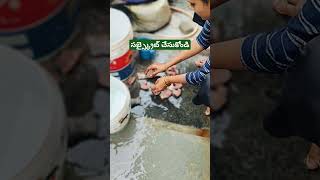 సండే అంటే సరదా తీరిపోద్ది#srohts #food #trending #viralvideo #subscribe